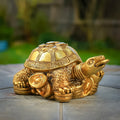 HindCraft Golden Tortoise Family Showpiece with Coin Design for Home, Office Desk & Vastu Décor