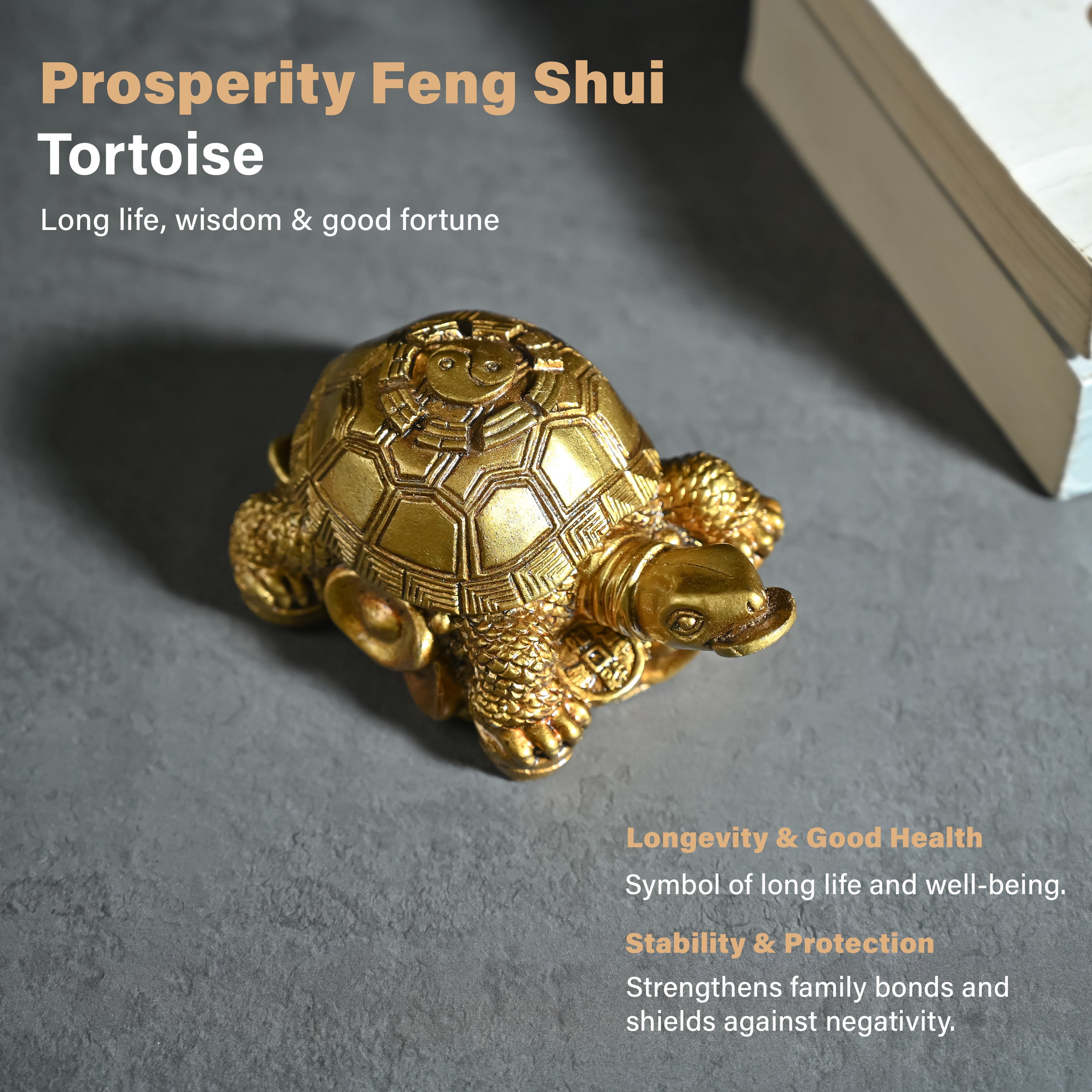 HindCraft Golden Tortoise Family Showpiece with Coin Design for Home, Office Desk & Vastu Décor