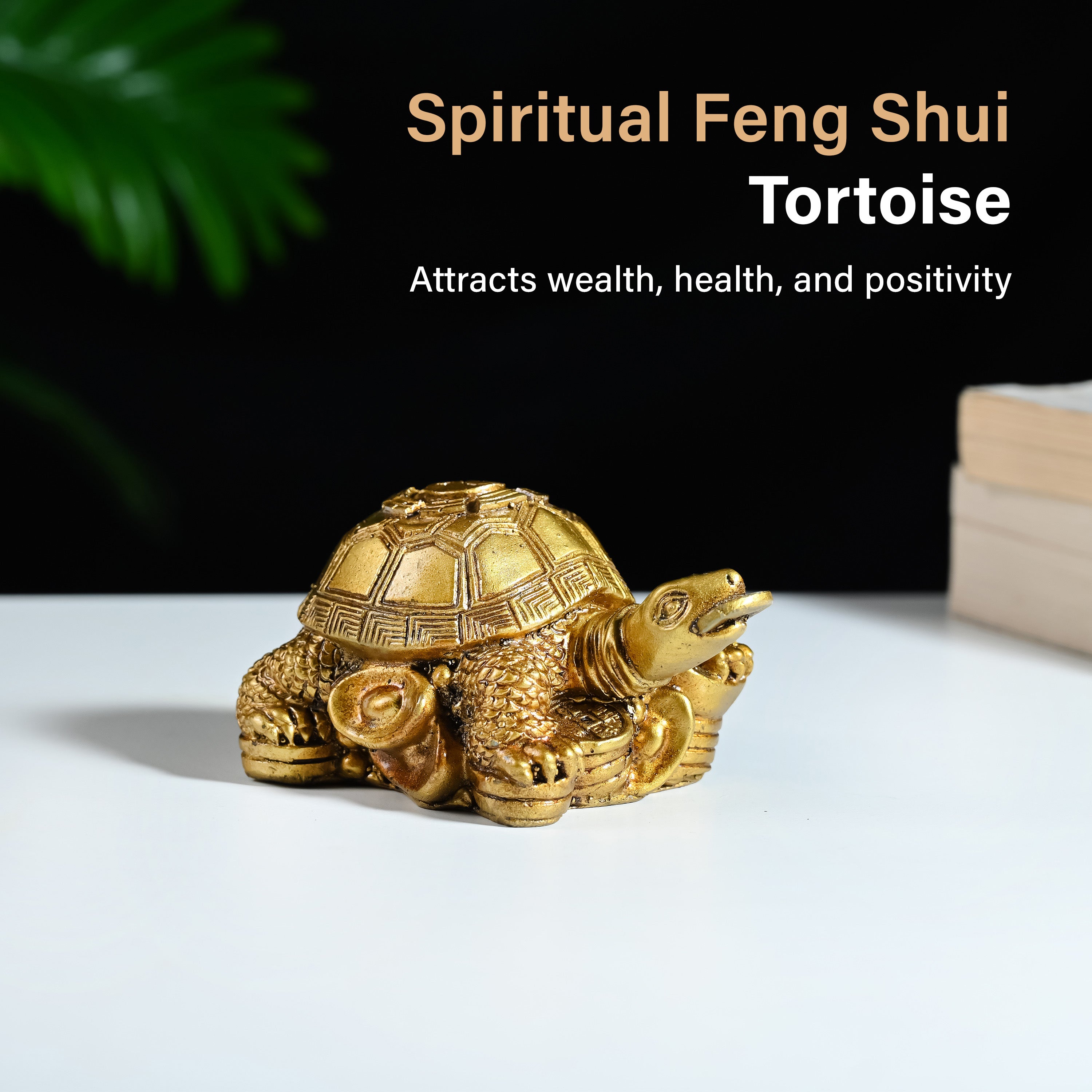 HindCraft Golden Tortoise Family Showpiece with Coin Design for Home, Office Desk & Vastu Décor