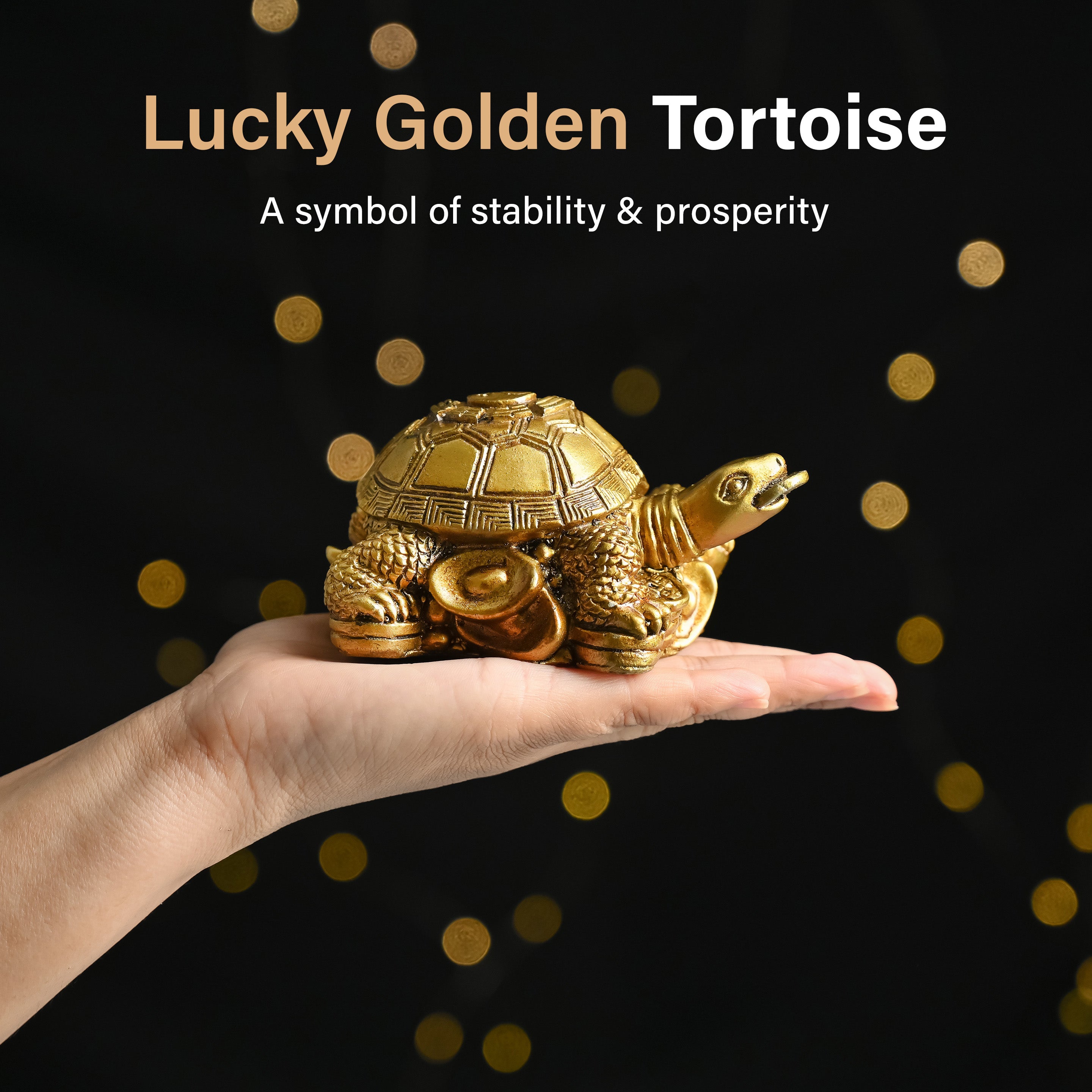 HindCraft Golden Tortoise Family Showpiece with Coin Design for Home, Office Desk & Vastu Décor