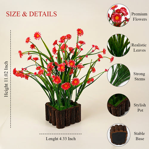 HindCraft Artificial Red Daisy Flower Plant with Wooden Pot for Home Décor