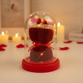 HindCraft Artificial Red Rose Teddy Glass Dome with LED Light for Romantic Gifting